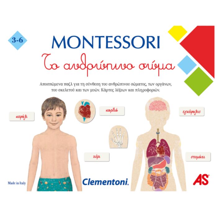 Montessori Educational Game Human Body For Ages 3-6